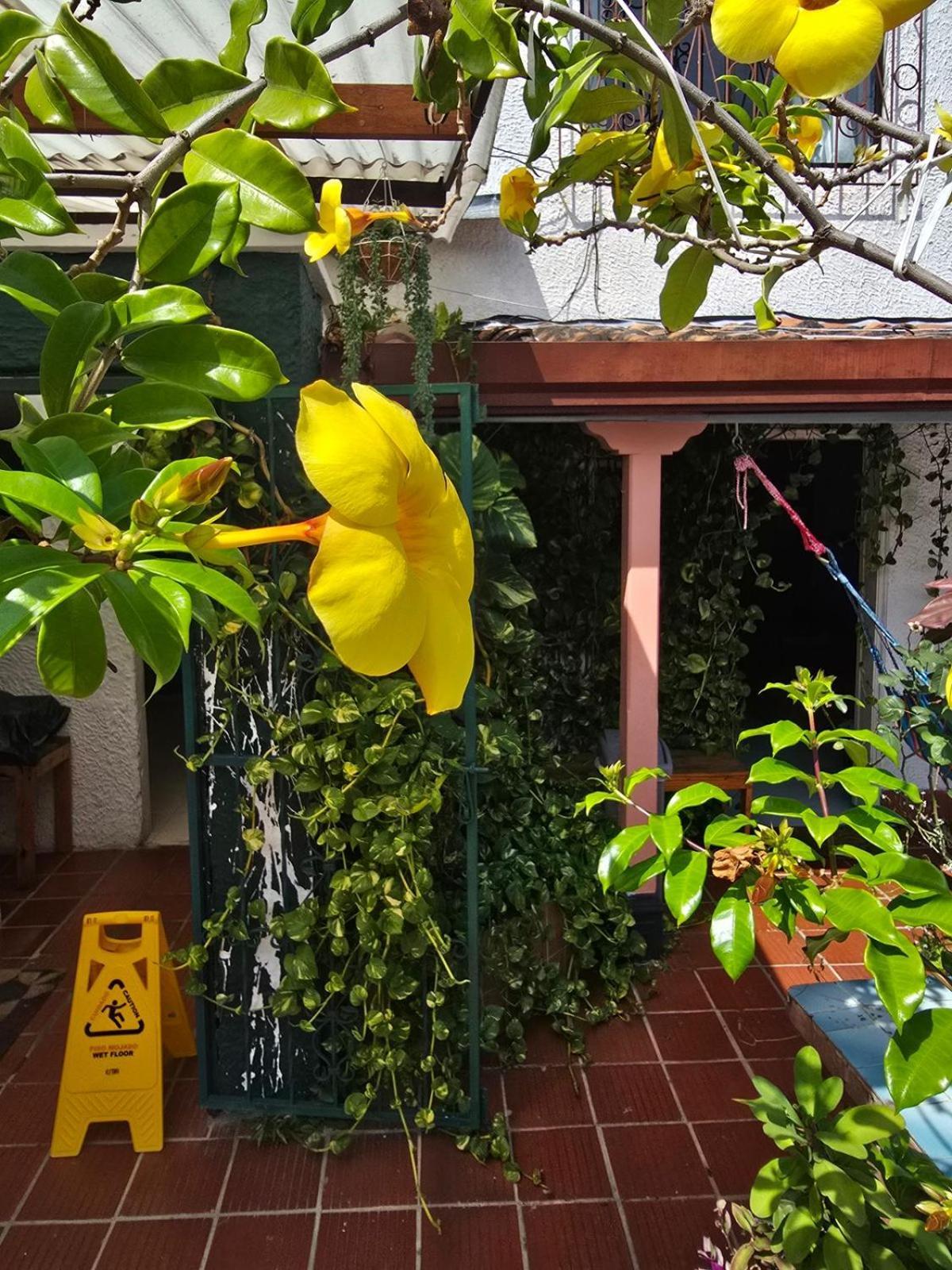Tatami Hostel Bucaramanga Exterior photo